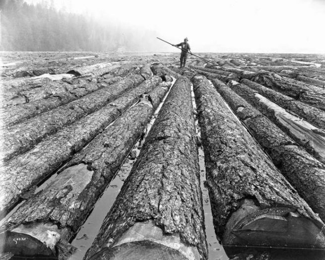 Douglas Fir Reclaimed Wood Brooklyn, NYC Sawkill Lumber