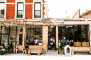 SawkillInstallations_bklynblend-cypress